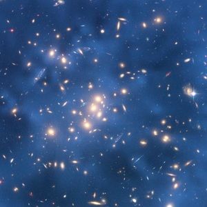 Meet your Posher, Eliza